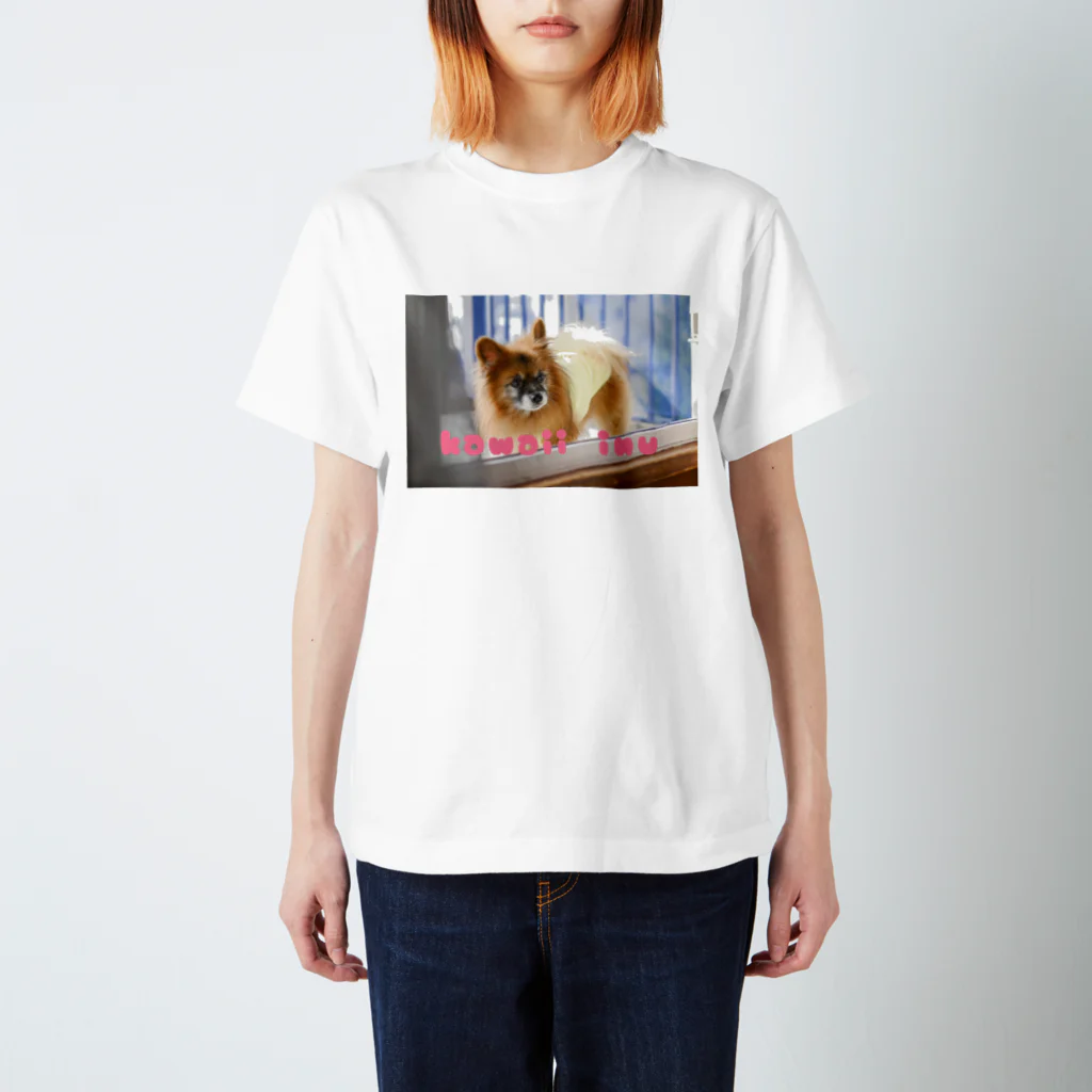 はちみつの海のkawaii inu Regular Fit T-Shirt