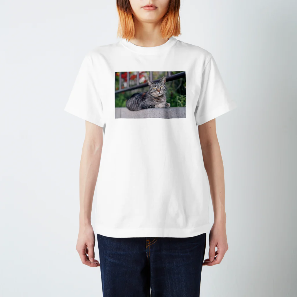 mya-wooの猫ちゃんシリーズ1 Regular Fit T-Shirt