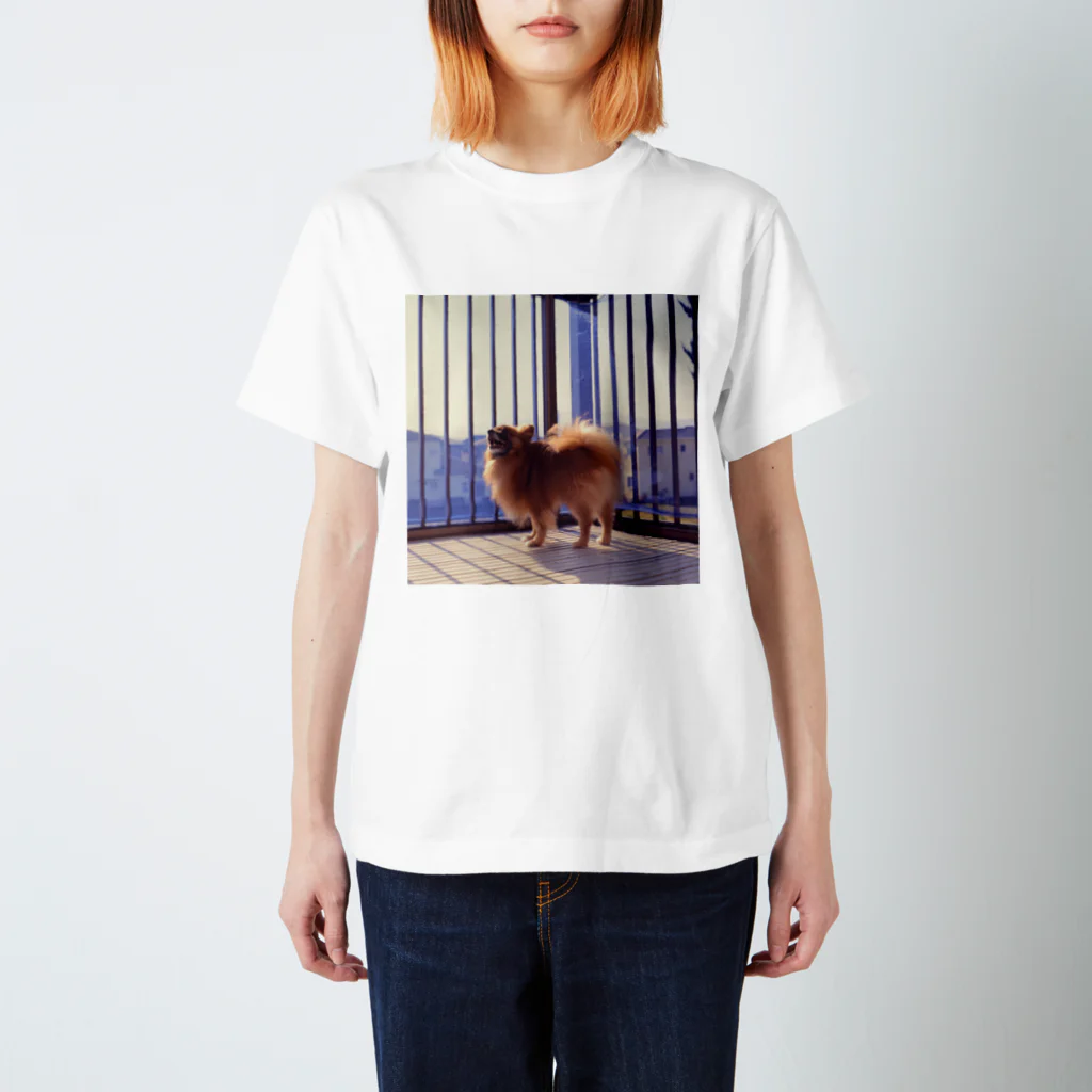 はちみつの海のkawaii inu film スタンダードTシャツ