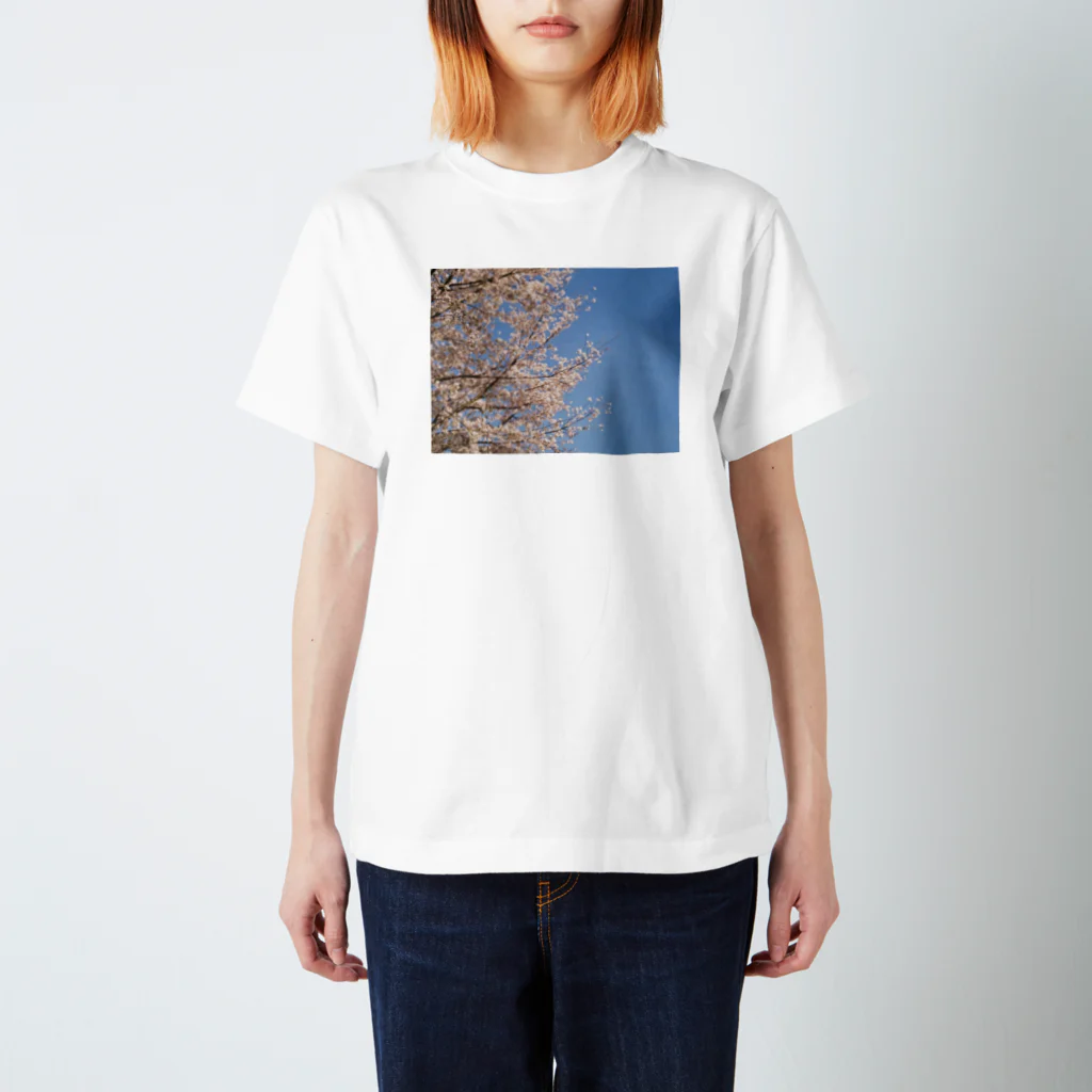 空と花とフィルムのあの日の桜 スタンダードTシャツ