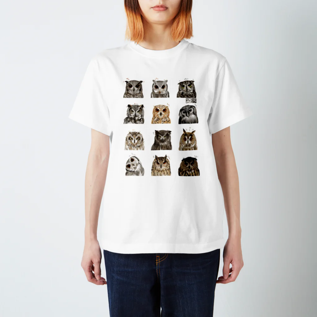 鵄　〜フクロウまみれ〜のミミズクみみずくし スタンダードTシャツ