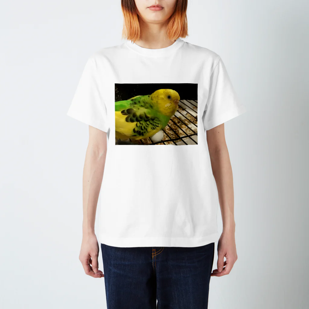 カエルのインコ　ああねむ〜 スタンダードTシャツ