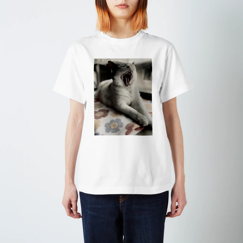 嫌われ飼い主のおおあくび スタンダードTシャツ