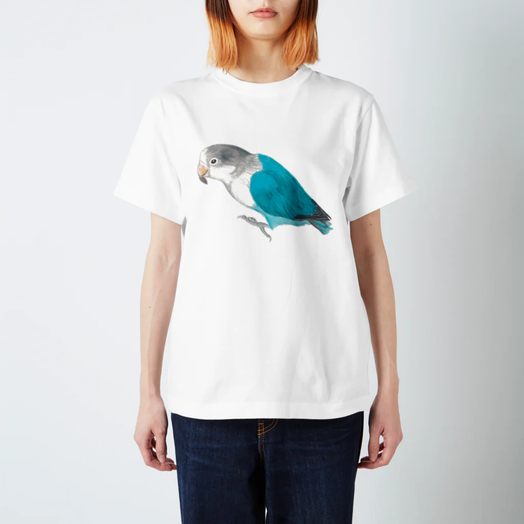 森図鑑の[森図鑑] ブルーボタンインコと種 Regular Fit T-Shirt