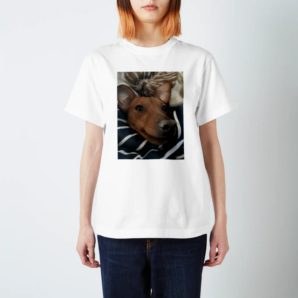 DJ美食倶楽部のムカつく犬の顔のTシャツ スタンダードTシャツ