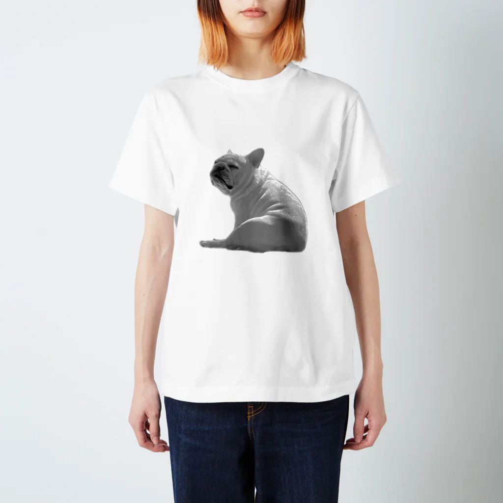 ロキの店の座り犬 Regular Fit T-Shirt