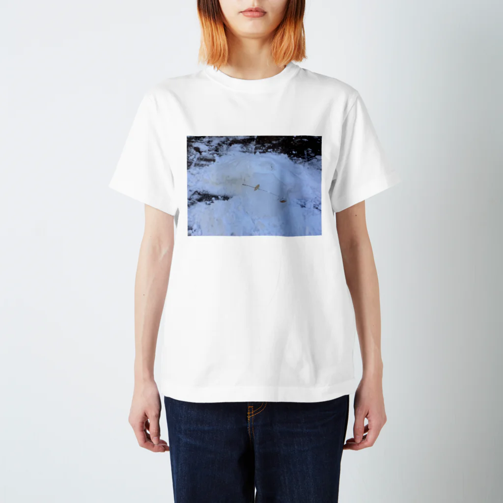 AMEの雪 Regular Fit T-Shirt