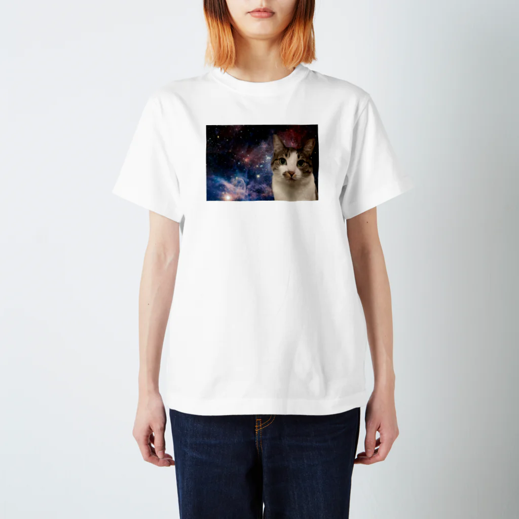 ナスビ仮面のうちの猫あおさ スタンダードTシャツ