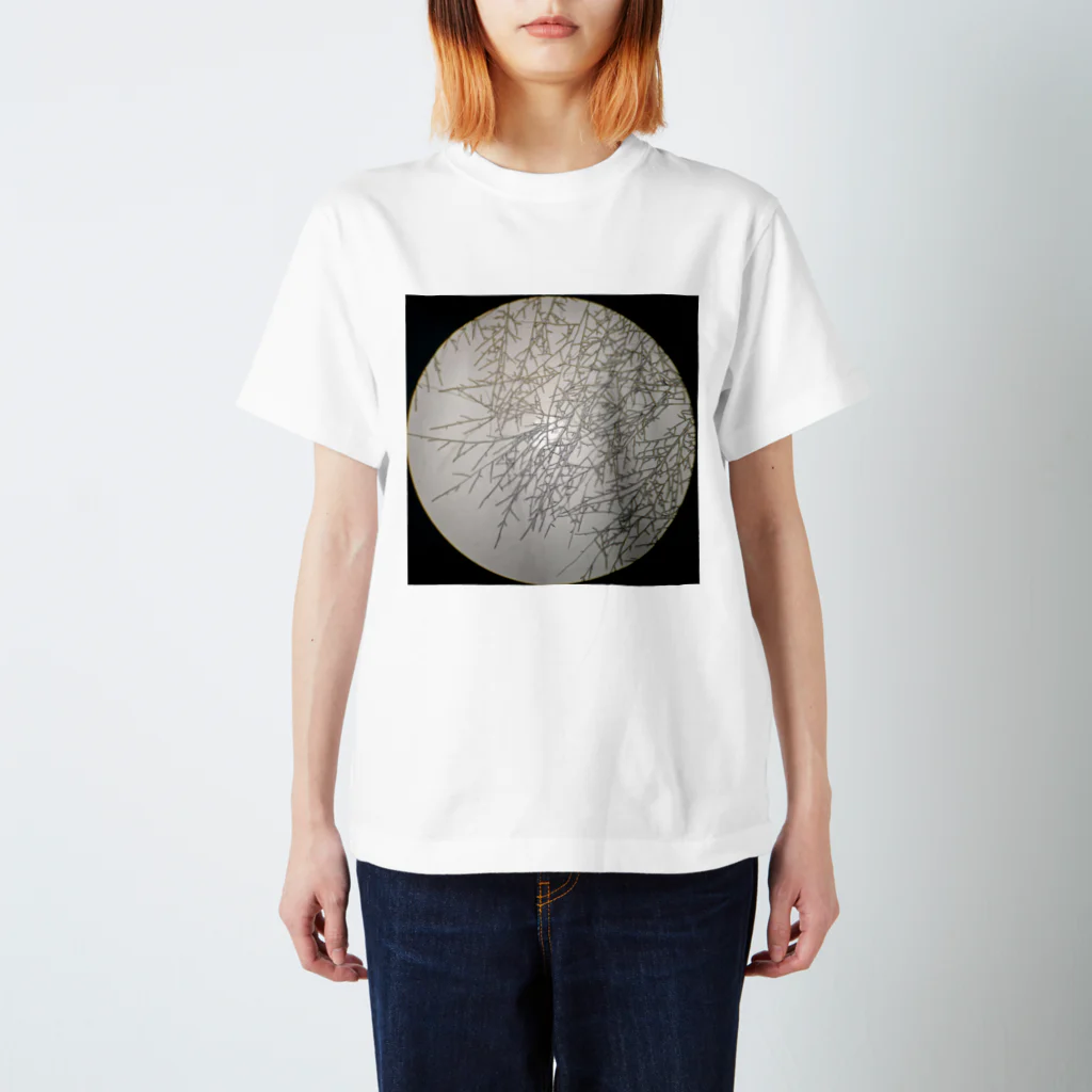 大学生の菌糸 Regular Fit T-Shirt