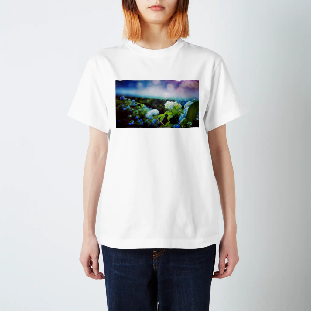 70🌷の紫陽花と傘 スタンダードTシャツ