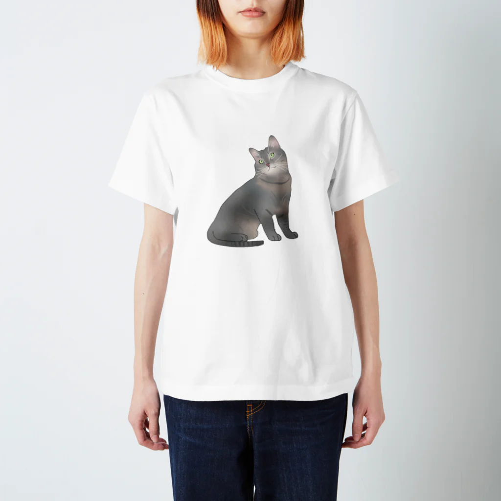 猫との遭遇のうちのにゃ～んこ（サバトラver.） Regular Fit T-Shirt