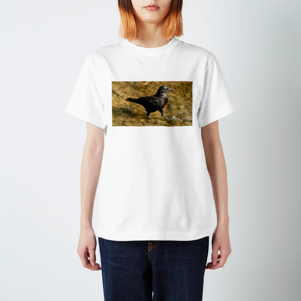 永遠の兵の水遊びのカラスくん スタンダードTシャツ