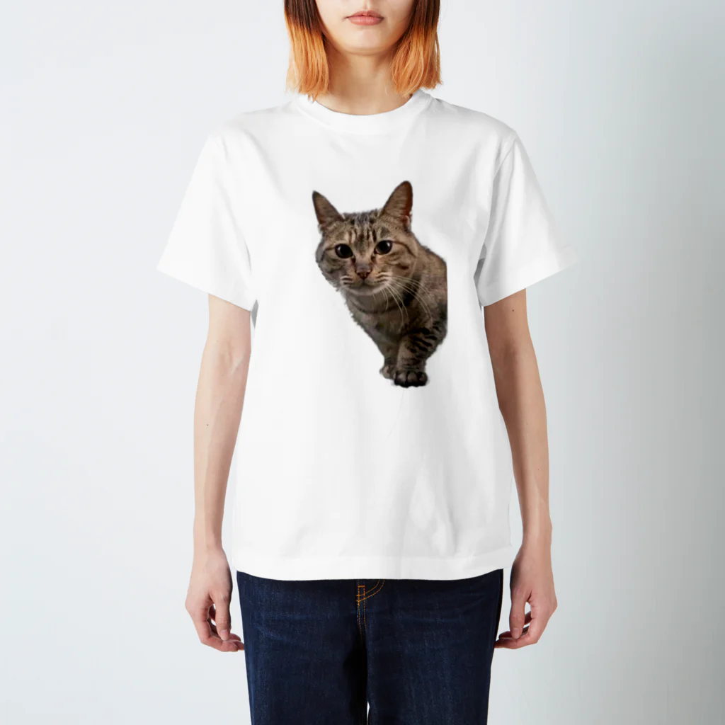 きじとら三姉妹の毎日のかすみちゃん Regular Fit T-Shirt