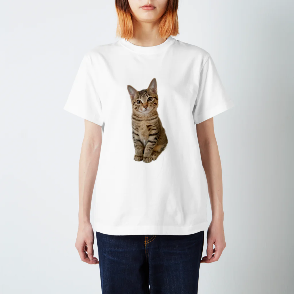 きじとら三姉妹の毎日のすいかちゃん Regular Fit T-Shirt