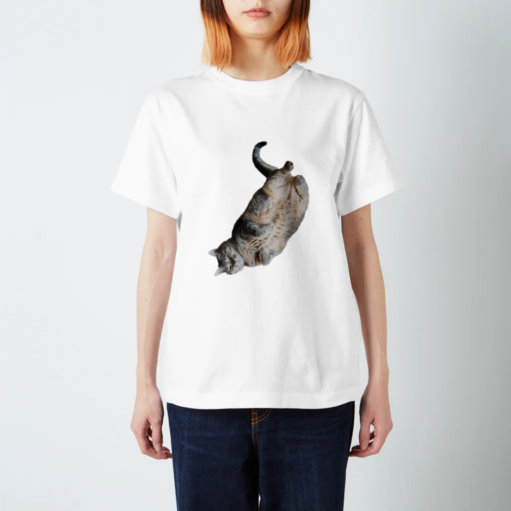 城の3月17日の落ちてる猫です スタンダードTシャツ