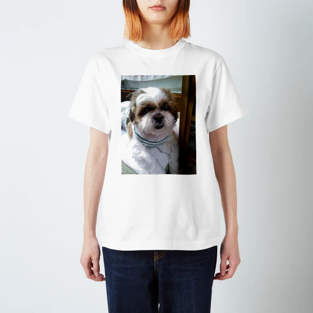 うさ子のおネエのショップのシー・ズー犬　ムクりん スタンダードTシャツ