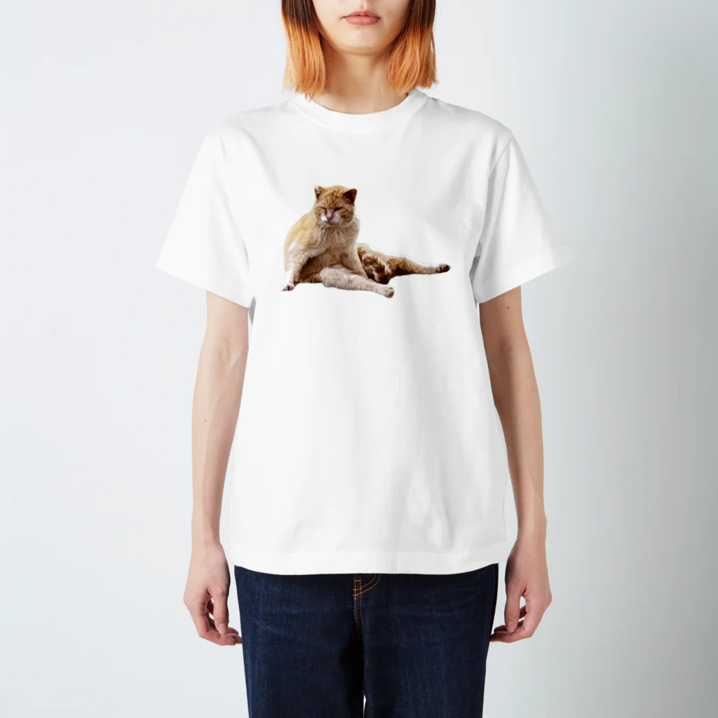 cre8am Houseのヒットマンな顔の猫 Regular Fit T-Shirt
