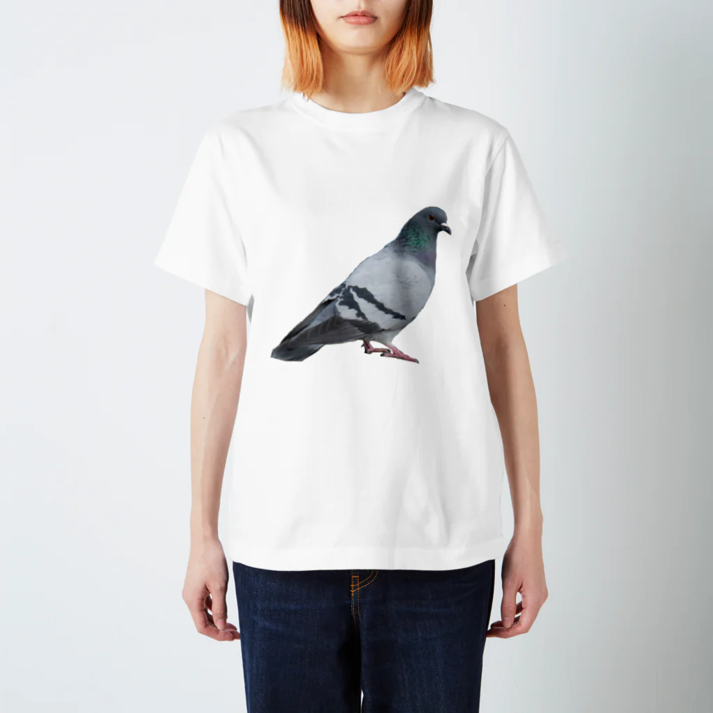 ねこの写真館の常盤の鳩先輩 スタンダードTシャツ