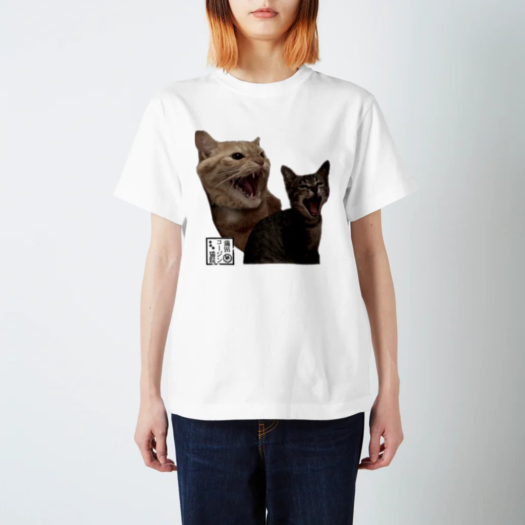 蒲田コージン猫院🐈‍⬛心霊内科👼のリアル副助手's Regular Fit T-Shirt