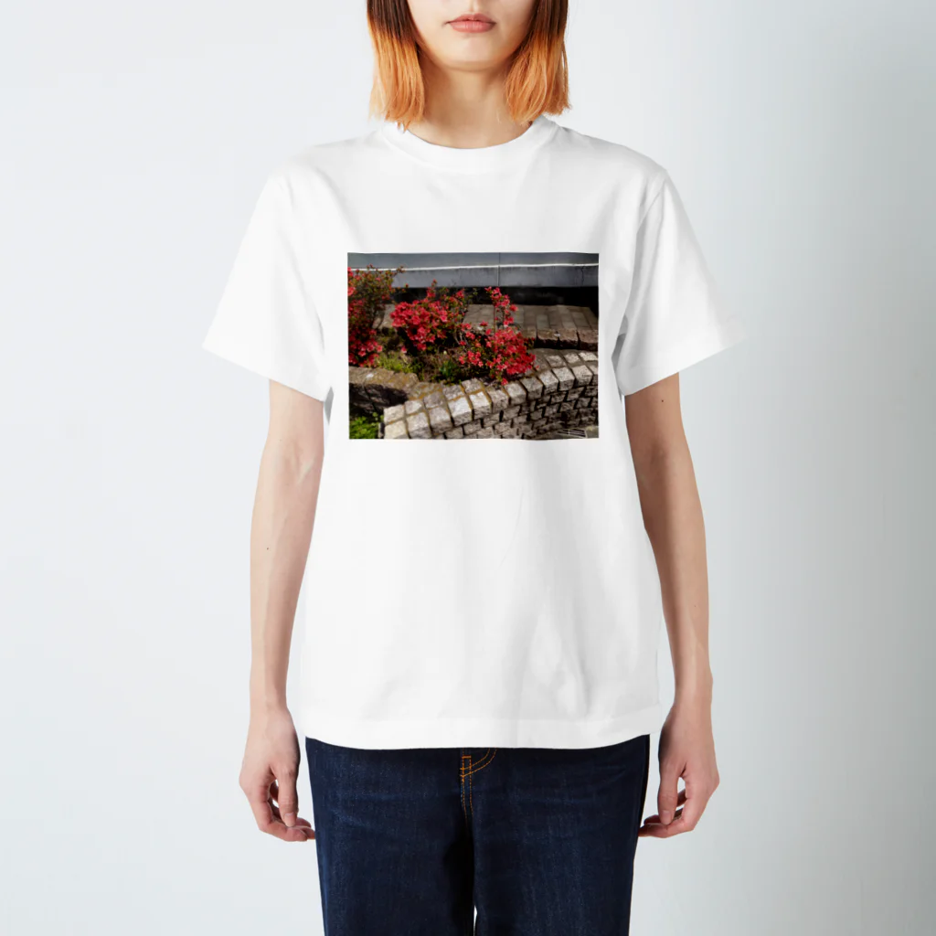 まち子宗形のツヅジの花 スタンダードTシャツ