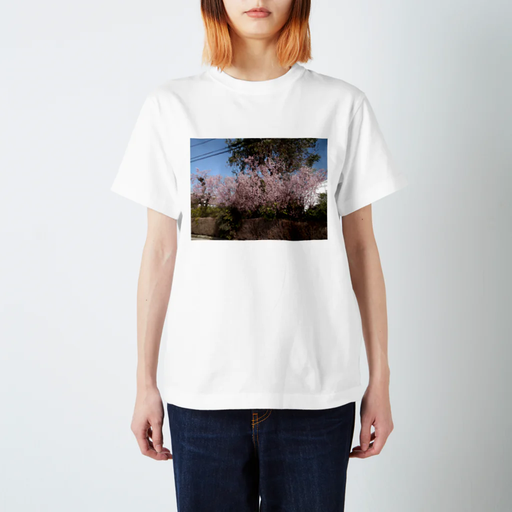 まち子宗形の桜の木 Regular Fit T-Shirt