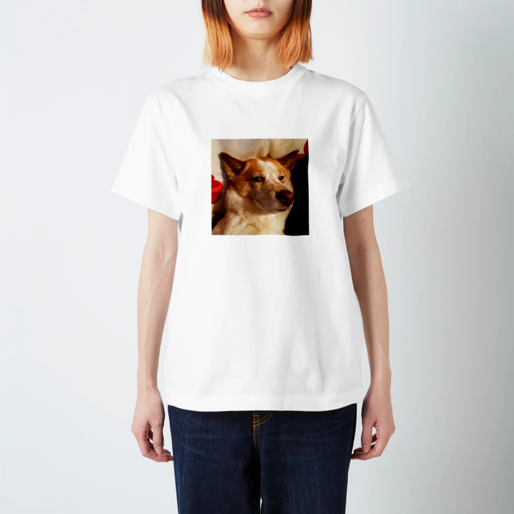 夏休みの犬のまめちゃん スタンダードTシャツ