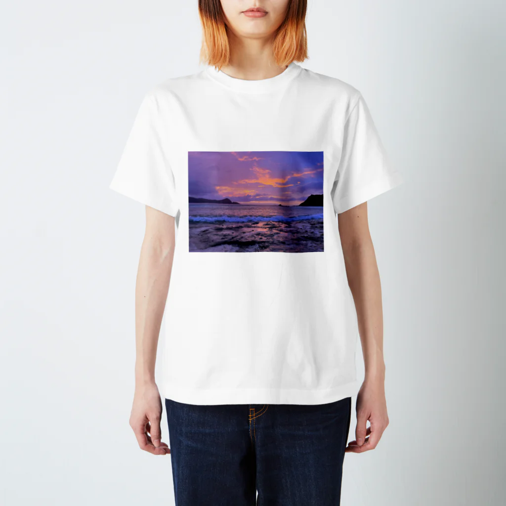 Healing Forestの海 スタンダードTシャツ