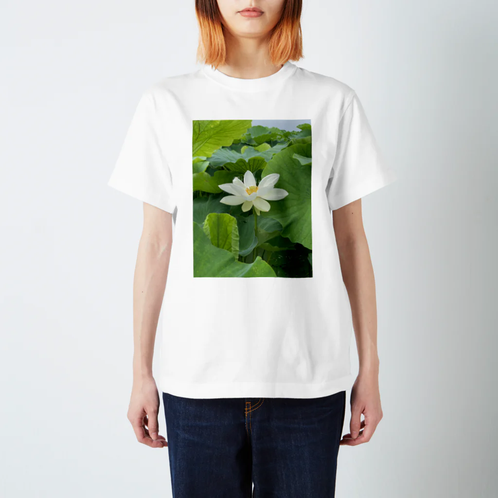 櫻井レンコンのレンコンの花 Regular Fit T-Shirt