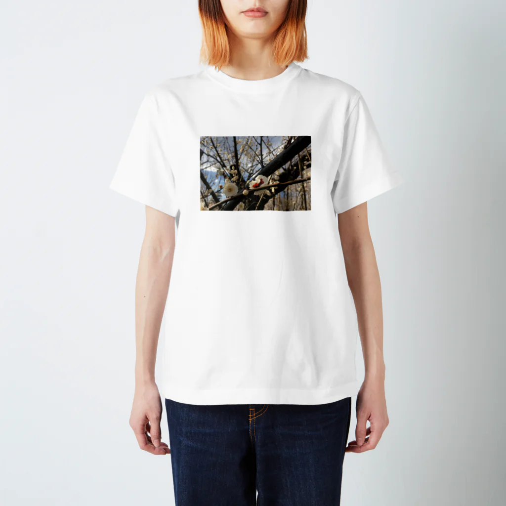 sobaのume Regular Fit T-Shirt