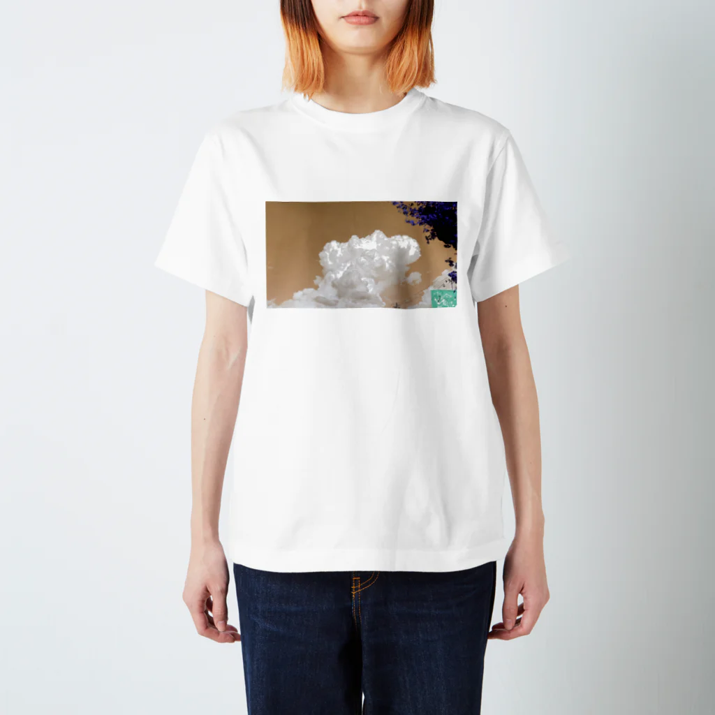 最数の雲 Regular Fit T-Shirt