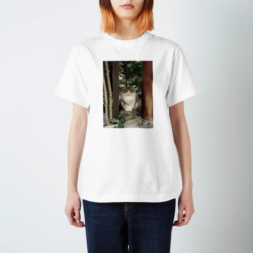 PLANET OF CATS ねこの惑星のmofuneco4 スタンダードTシャツ