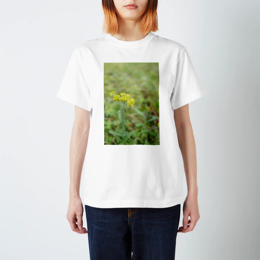 IROIRO-OHANAのしずく Regular Fit T-Shirt