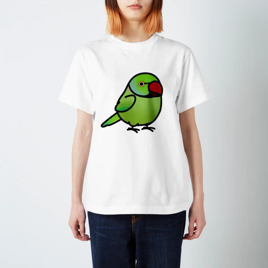 Cody the LovebirdのChubby Bird　ワカケホンセイインコ　グリーン Regular Fit T-Shirt