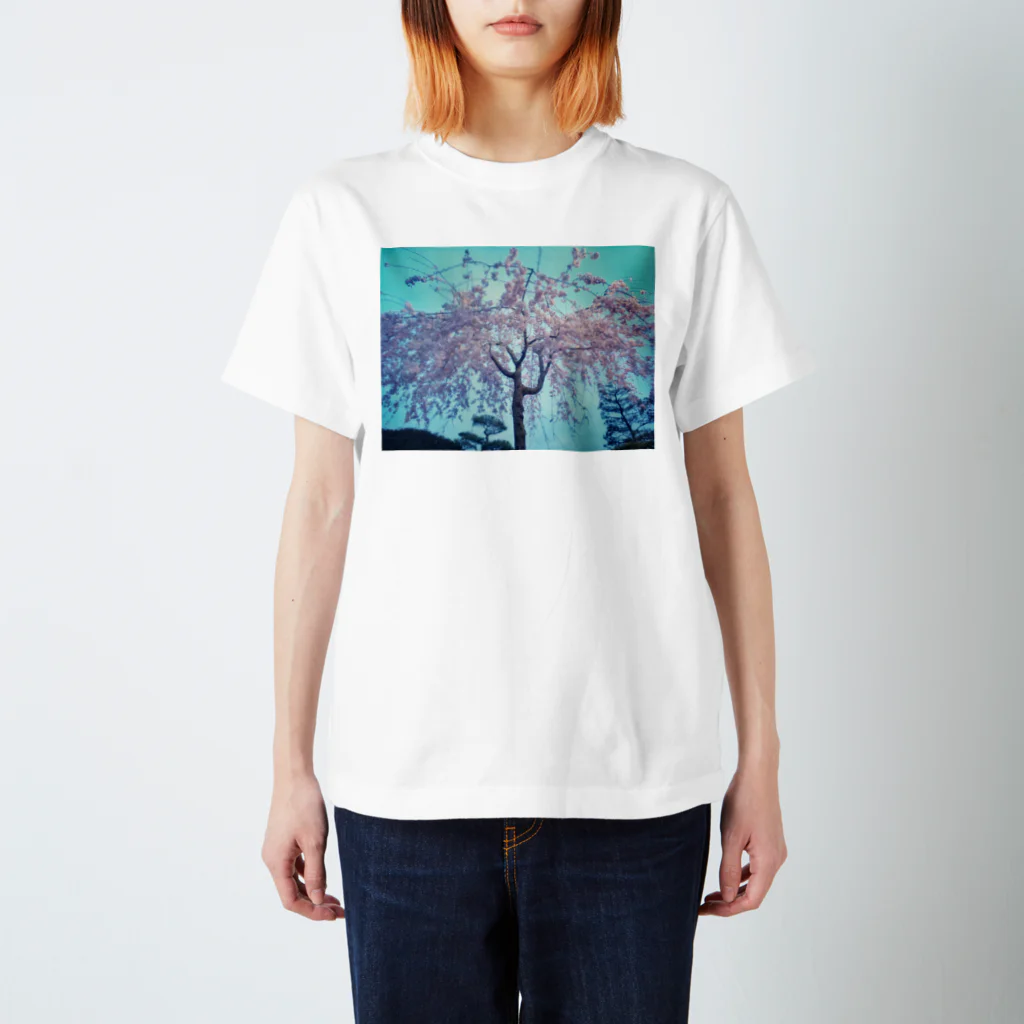 rainbow94の枝垂れ桜 スタンダードTシャツ