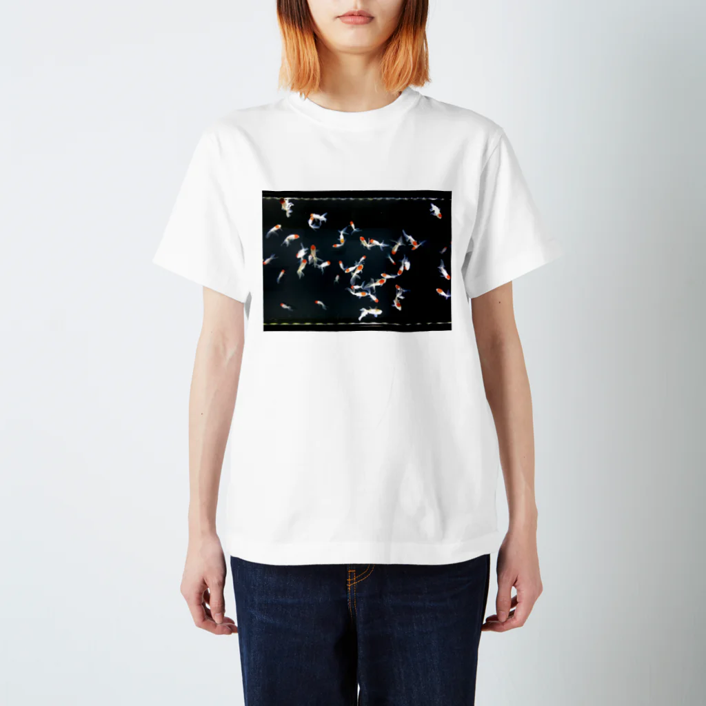 harunaの星空金魚 Regular Fit T-Shirt