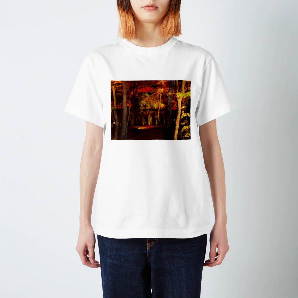 デザイナーショップfreedoor withトーマの美しい古都～京都 Regular Fit T-Shirt