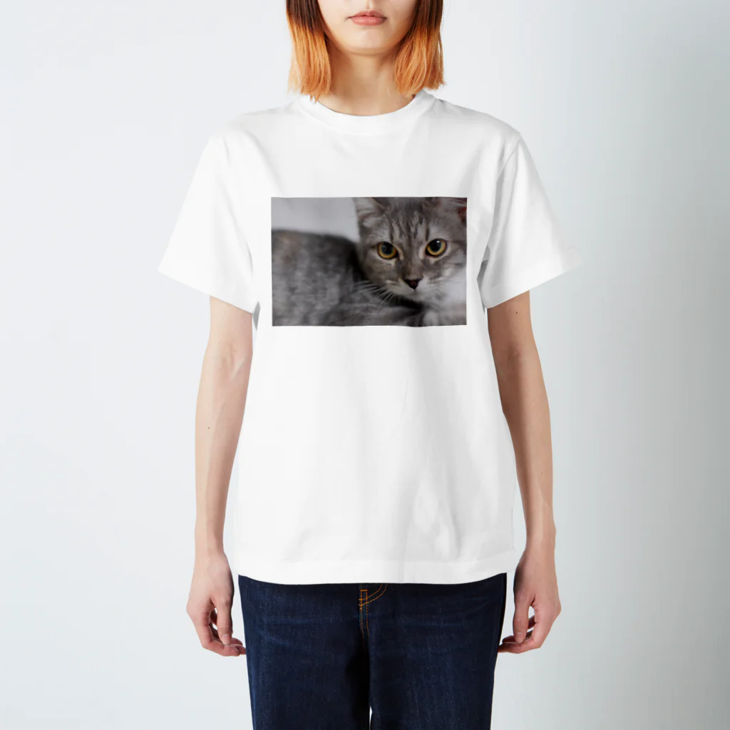 みぃちゃんのネコのみぃちゃんグッズ３ スタンダードTシャツ