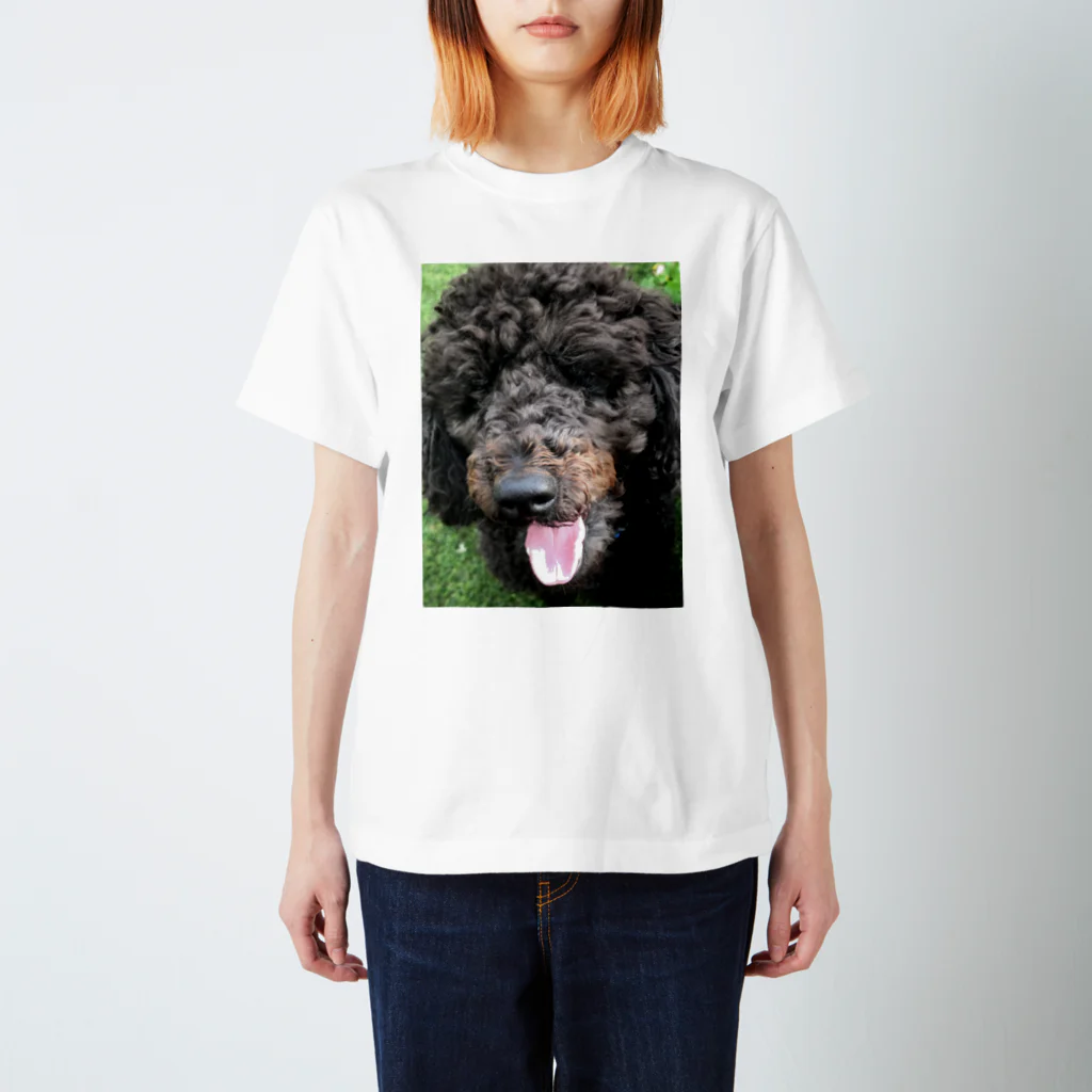 ノラうさきゅん☆のもふもふ犬トイプードル スタンダードTシャツ