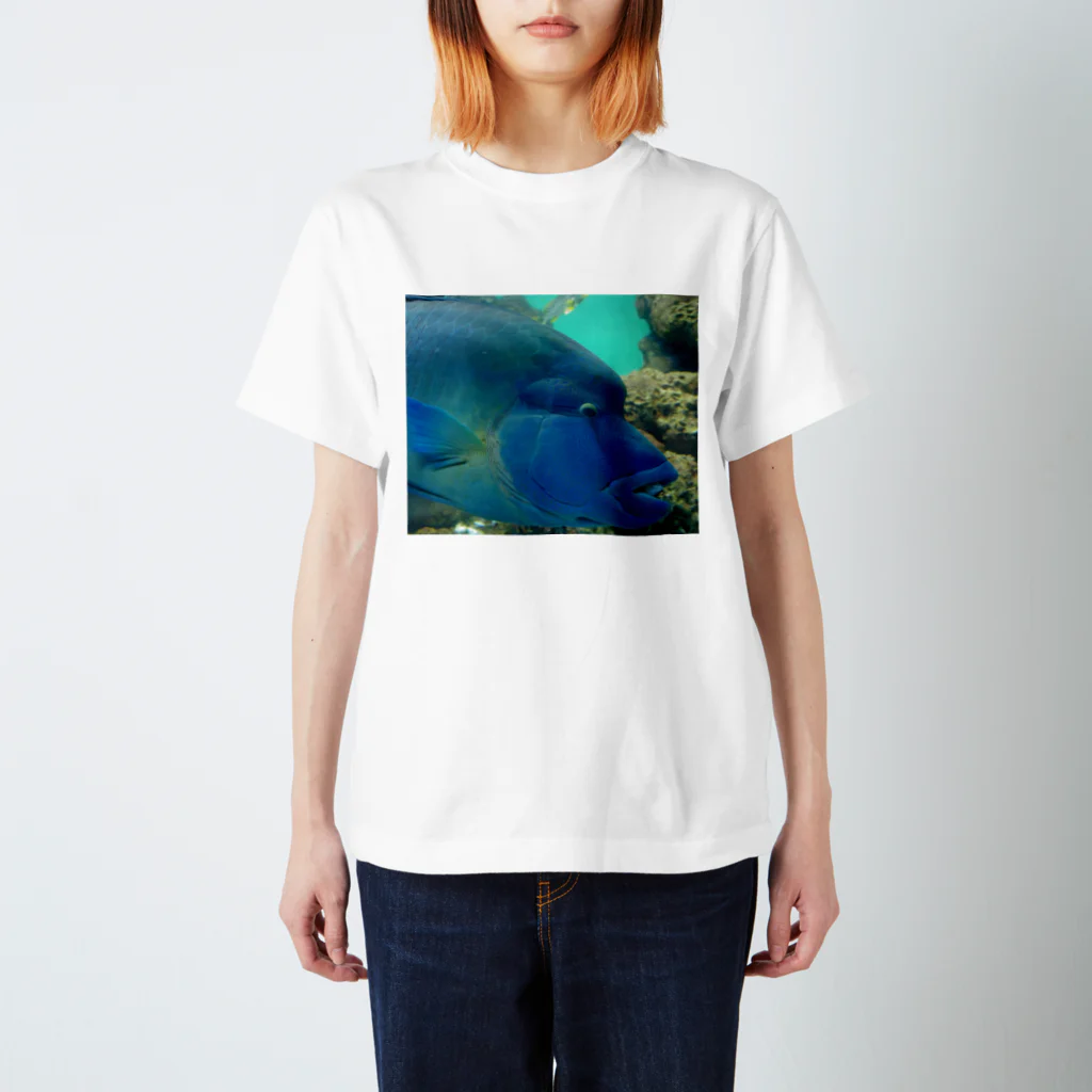 ビーンズ(´・∀・｀;)のFish! スタンダードTシャツ