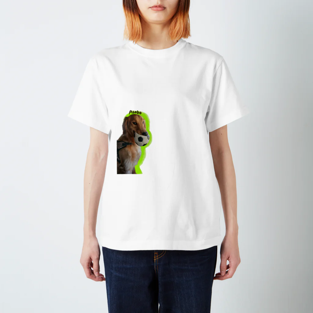 犬のだいあんのボール大好き大ちゃん Regular Fit T-Shirt