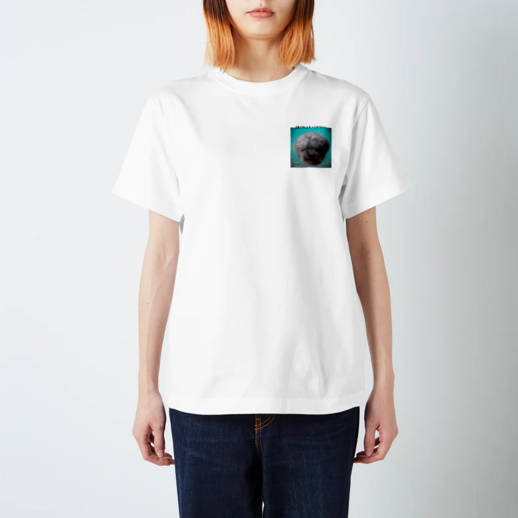 chacoのMahalo背面 Regular Fit T-Shirt