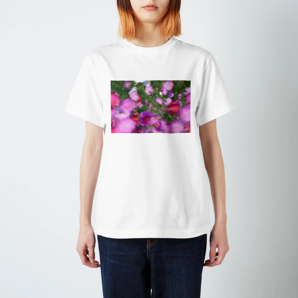 kenの乱れ秋桜 スタンダードTシャツ