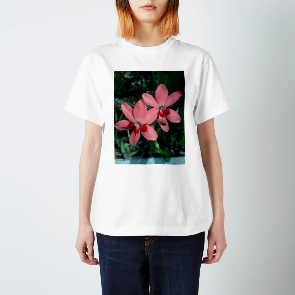 Dreamscape(LUNA)の恋人たちの思い出日記 Regular Fit T-Shirt