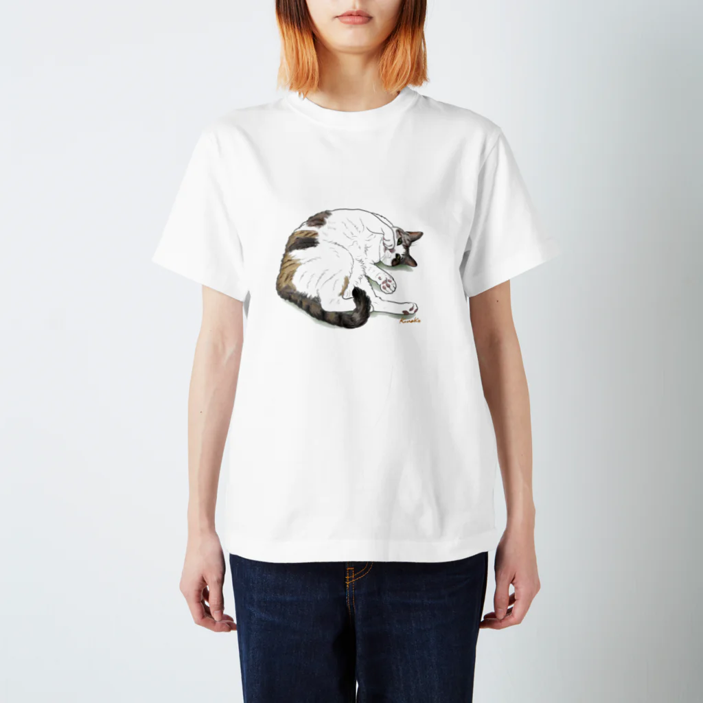 kinako-japanの三毛猫　ノースさん スタンダードTシャツ