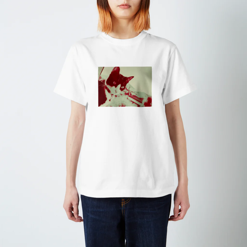 前田侑希のネコモノ Regular Fit T-Shirt