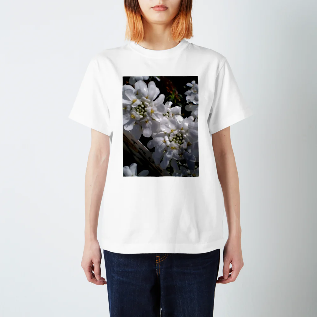 Dreamscape(LUNA)のシュガーキャンディー Regular Fit T-Shirt