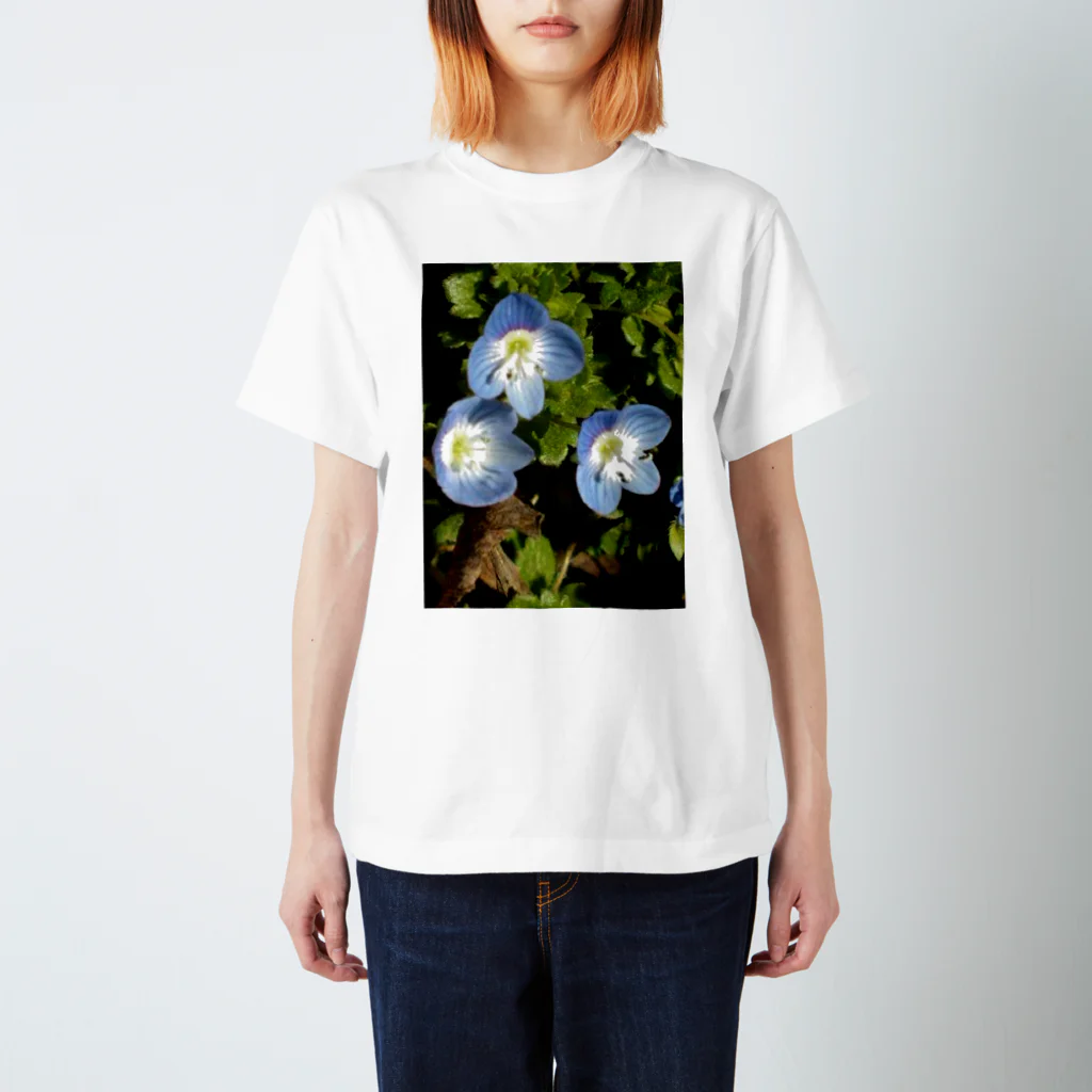 Dreamscape(LUNA)のスカイブルーはお好き？ Regular Fit T-Shirt