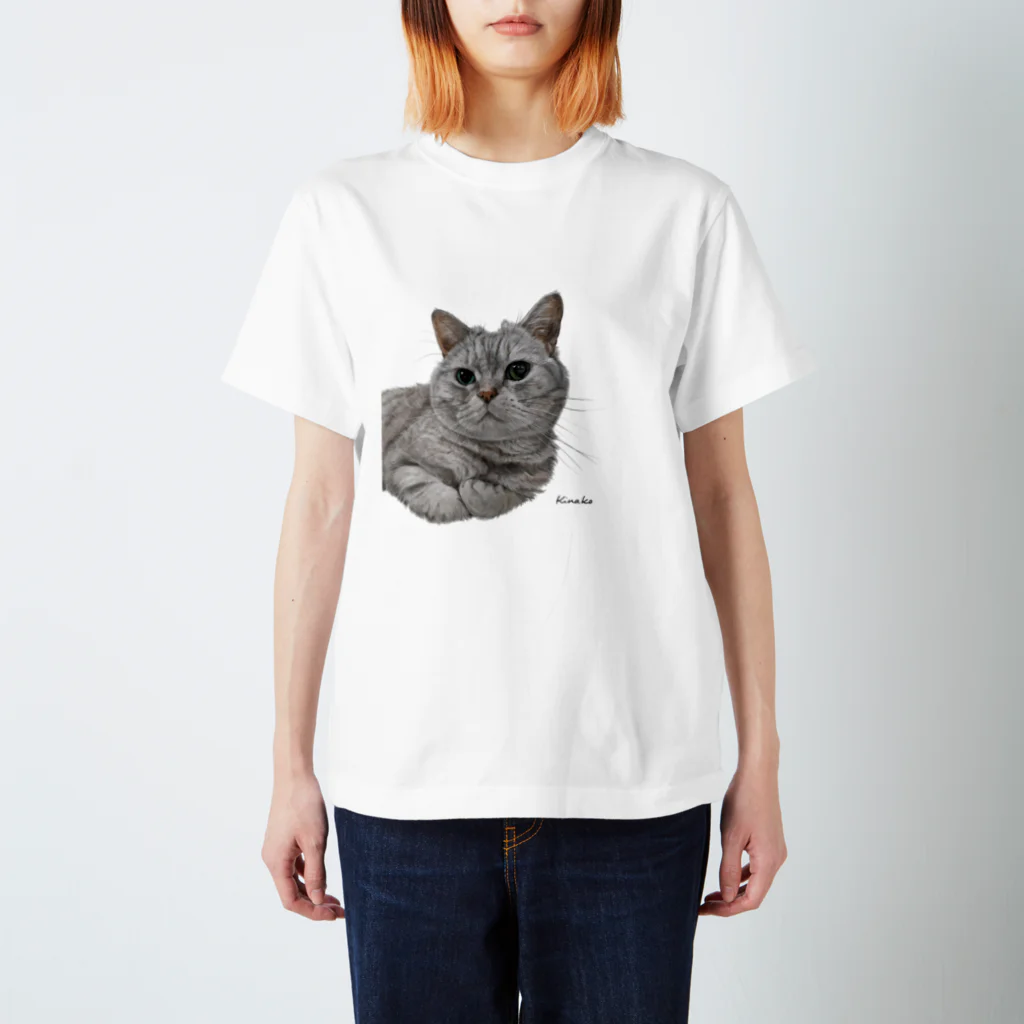 kinako-japanのプリンちゃん　背景なし スタンダードTシャツ