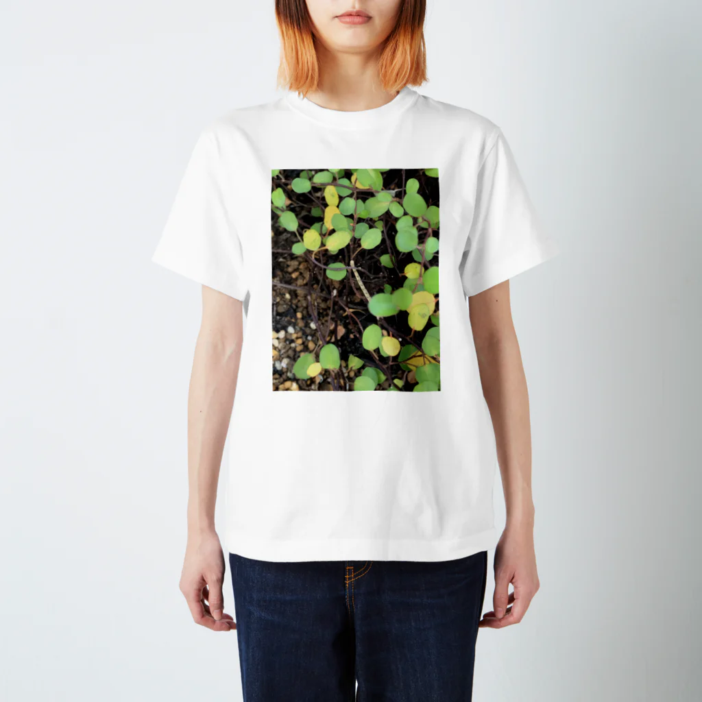 笑顔咲きの雑草 Regular Fit T-Shirt