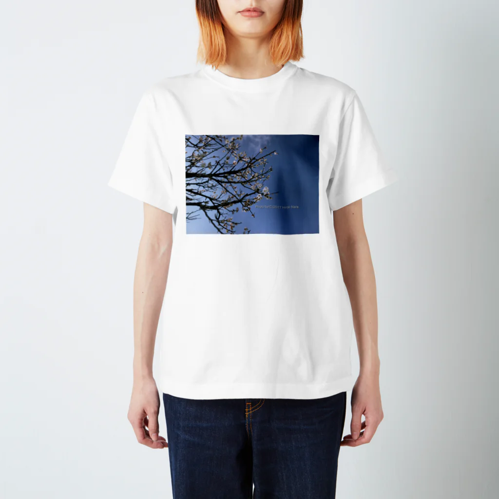 hiroki-naraの光景　sight738　梅  花 FLOWERS スタンダードTシャツ